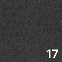 Borg 17