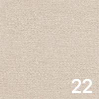 Borg 22