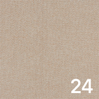 Borg 24