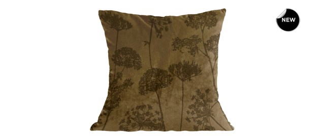 025336-front-new