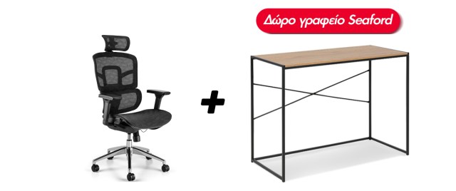 Διευθυντικό Κάθισμα Γραφείου D-2