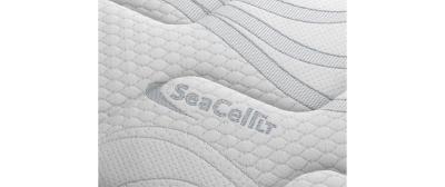 Ocean Freedom 130x200cm