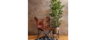 Bamboo
