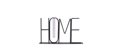 Home