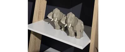Zoo