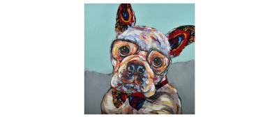 Imba Dog
