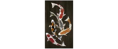 Fish in Colors