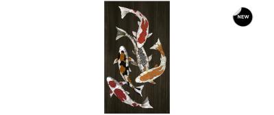 Fish in Colors