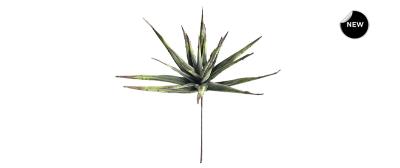 Malulu