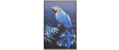 Blue Popinjay