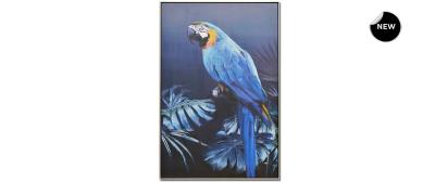Blue Popinjay