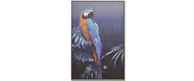 Blue Parrot