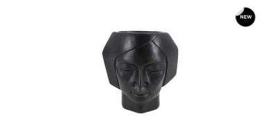 025434 Front New